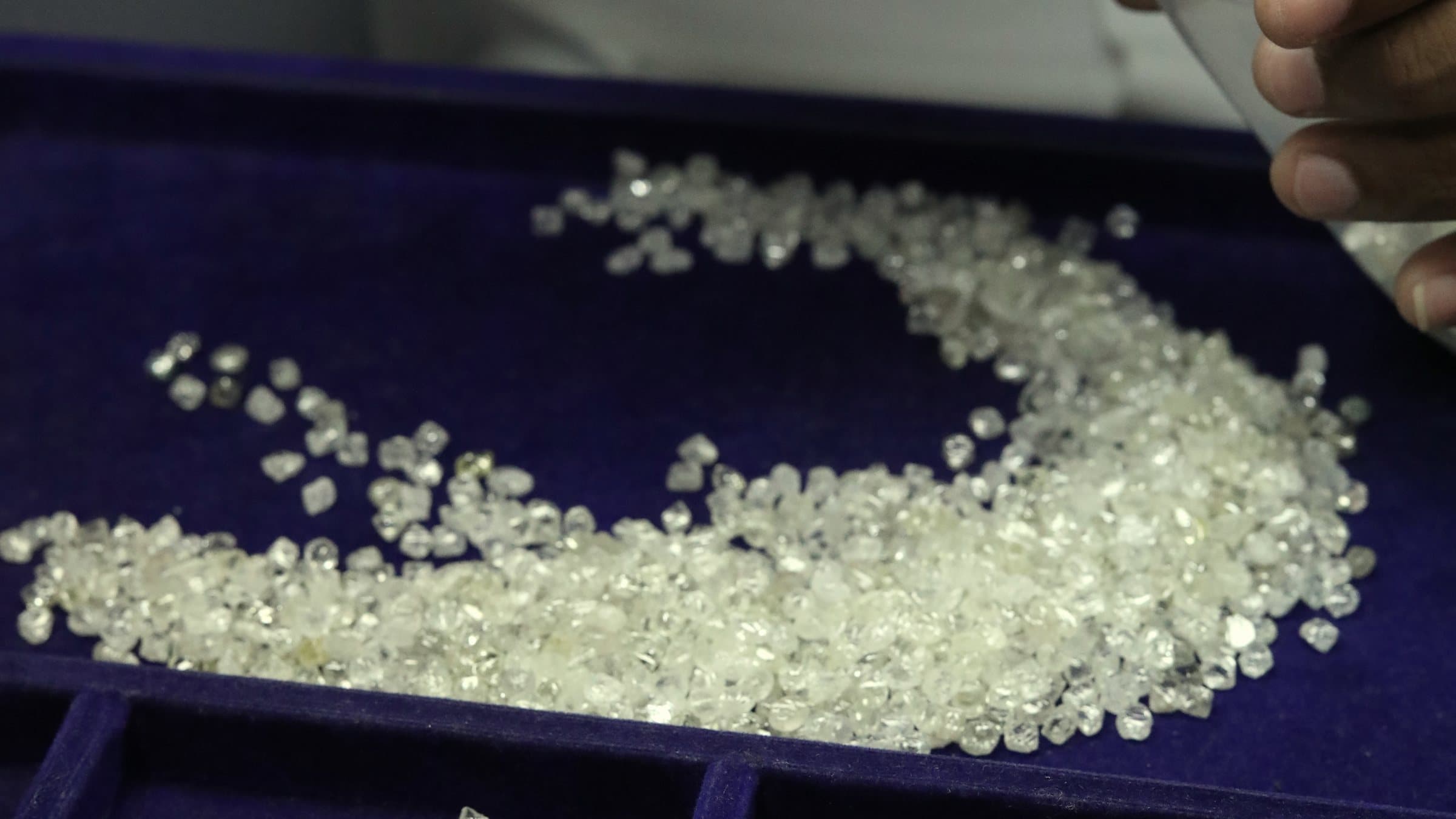 A parcel of rough diamonds on a blue sorting tray